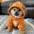 DOGGOTOTHEMOON.webp